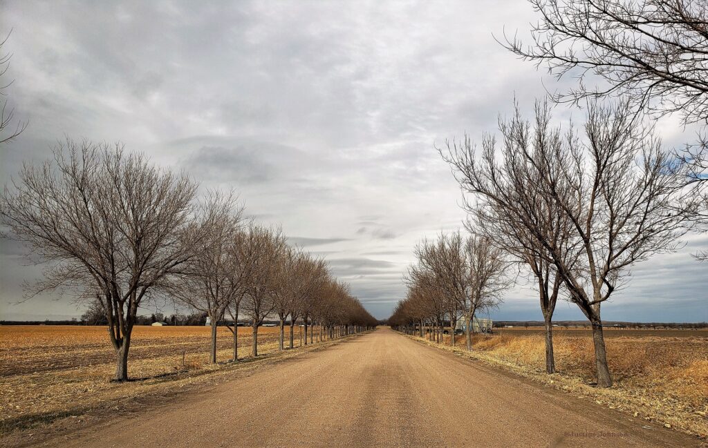 View of long, straight dirt road continuing ahead, with bare trees along both sides, flat brown fields on either side, past the trees, and gray sky.
